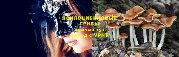 Альфа ПВП Абдулино
