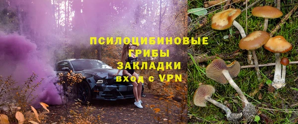 spice Абаза