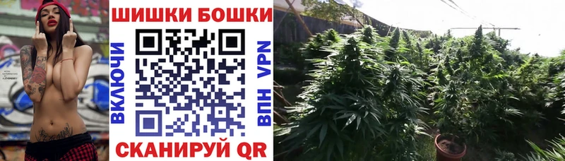 Марихуана Amnesia  Урень 